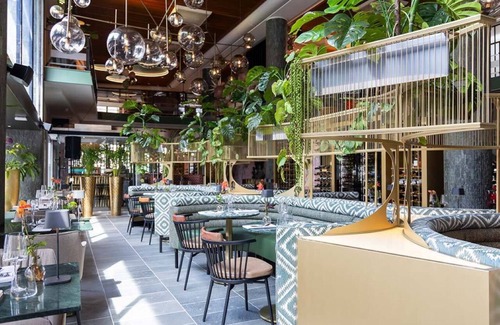 Kralingen-Crooswijk House | Stylish Boutique Hotel Stay Steps from Art, Food, and Historic Rotterdam