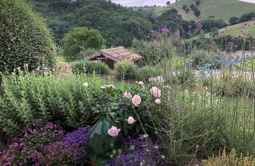 Montelparo Apartment | Stylish eco holiday home with private pool set in vineyards with panoramic views