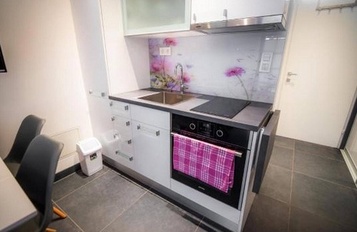 Moravske Toplice Apartment | Stylish Two Bedroom Apartment Steps Away from Spa