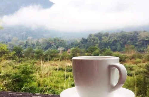 Muang Ngoi Neua Hotel | SuanPhao Guesthouse