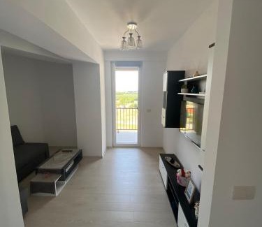 Timisoara Apartment | Suba's Apartment