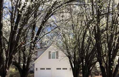 Greer House | Suburban Studio in Prime Area on Large Quiet Lot- GSP Airport, Greer, Greenville