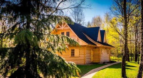 Miedziana Gora Ski Chalet | Sucholand