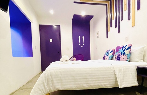 De Guadalupe Bed & Breakfast | Suculenta Boutique