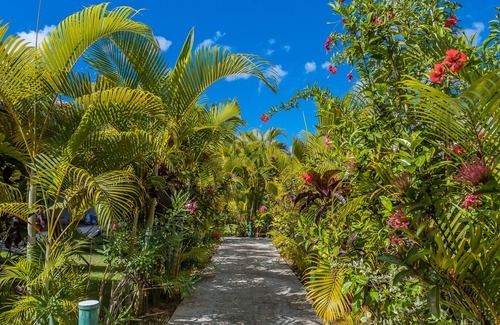 El Centro Villa | Sueños 8 – 2BR Villa with Pool, Starlink Walk to Beach & Shops – Las Terrenas