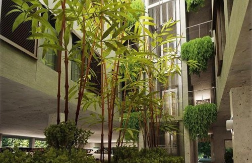 Paradise Island Apartment | SUITE 203 - THIRTY SIX CONDO