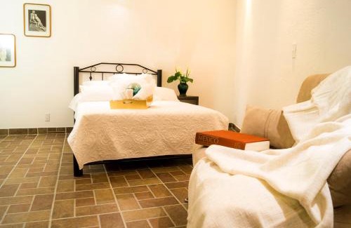 Campestre Apartment | Suite 5B, Cultura, Garden House, Welcome to San Angel