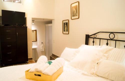 Campestre Apartment | Suite 5B, Cultura, Garden House, Welcome to San Angel