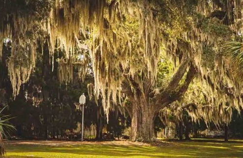 Metropolitan House | Suite in Heart of Downtown King Beds Forsyth Park - Upper