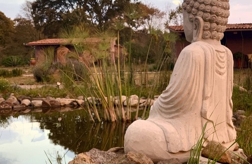 Buenavista Apartment | SUITES EN EL CAMPO, YOGA, MASAJES Y TEMAZCAL
