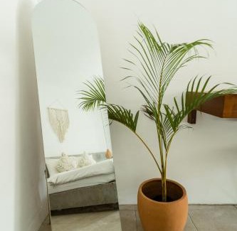 Selong Belanak Hotel | Suku Lifestyle Hotel & Villas