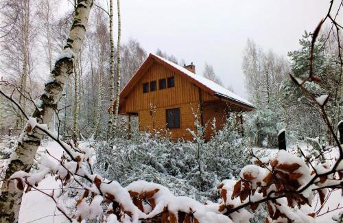 Zbiczno House | Sumówko Leśne Siedlisko