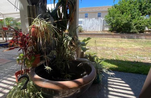Chino House | summer cool house