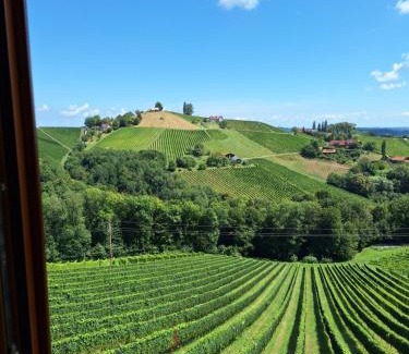 Glanz an der Weinstrasse Apartment | Summer Wine