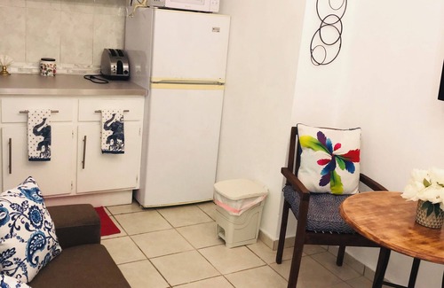 Eleanor Roosevelt Apartment | Sun 311 Roosevelt Downtown local-urban humble area 1-bedroom apartment with AC