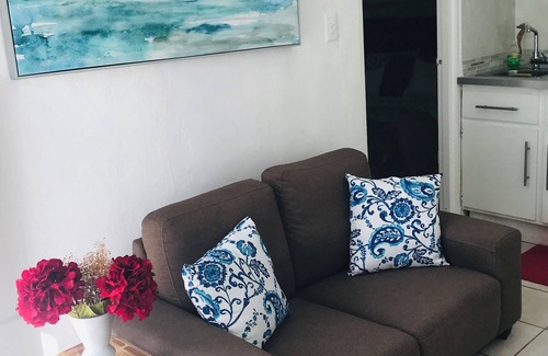 Eleanor Roosevelt Apartment | Sun 311 Roosevelt Downtown local-urban humble area 1-bedroom apartment with AC