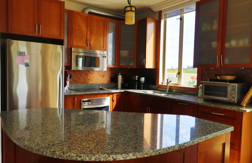 James Bay Condo | Sun Drenched Sub Penthouse Amazing Views - 3 Month Minimum