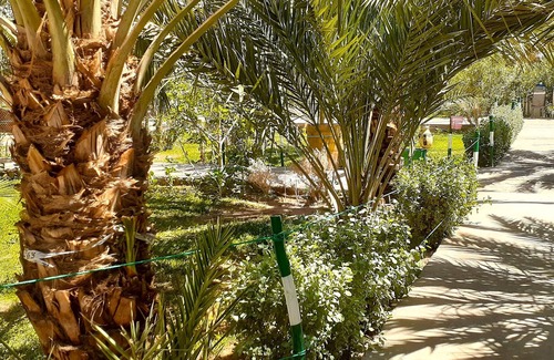 Aarab Sebbah Ziz Cabin | Sun Palmeraie