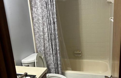 Arlington Apartment | Sun & Shine