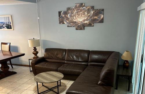 Arlington Apartment | Sun & Shine