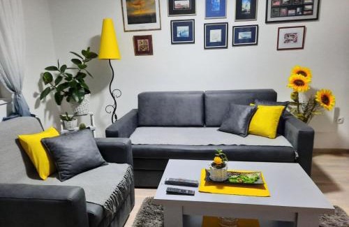 Krusevac Apartment | Sunce