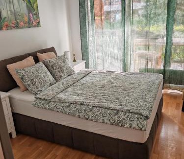 Moravske Toplice Apartment | Sunflower Apartment Moravske Toplice
