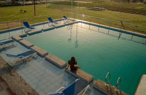 Jamwa Ramgarh Resort | Sunflower Saga
