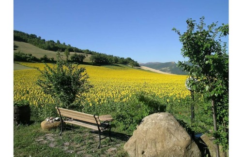 Camerino Apartment | Sunflowers - Green apartment first P