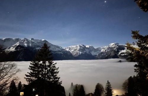 Braunwald Apartment | Sunnehuesli
