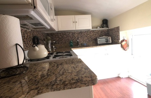 Mount Vernon Apartment | Sunny Apt Near Hopkins Shuttle, UMMC & Peabody Conservatory JHU - 4 min Walk
