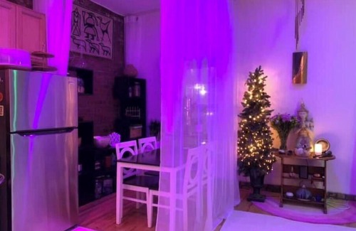 Clinton Hill Apartment | Sunny boho-zen apt