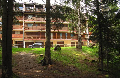 Campo Carlo Magno Apartment | SUNNY & NEAR SKI SLOPES, HIKING TRAILS, BIKE TRAILS AND GOLF