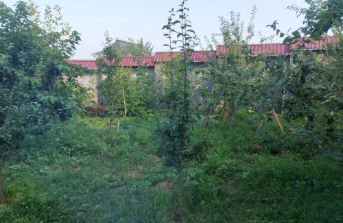 Ismailli House | SUNRISE Guest House