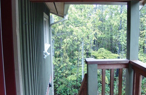 Tofino Apartment | Sunrise Suite - A cozy forest sanctuary. 3min walking distance to the beach!