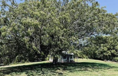 Ewingsdale Cottage | Sunset Cottage @ Byronnn