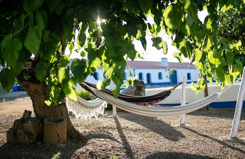 Sousel House | Sunset Red Villa, Wifi, Terrace, Swimming pool