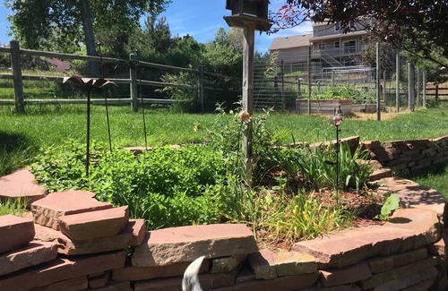 The Pinery Apartment | Super cute 500 ft2 basement apartment. Pet friendly for well behaved pets.
