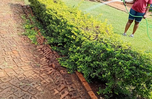 Bulawayo House | Superb 3-bedroom house with WiFi in Bulawayo