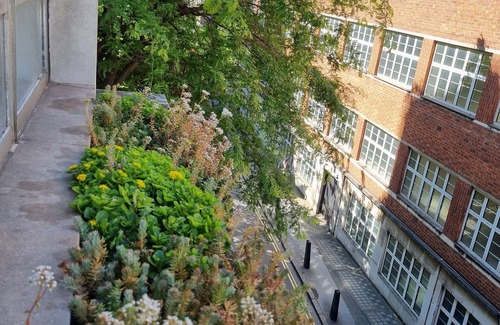 Westminster Apartment | Superb Central London Apartment St. James's Park