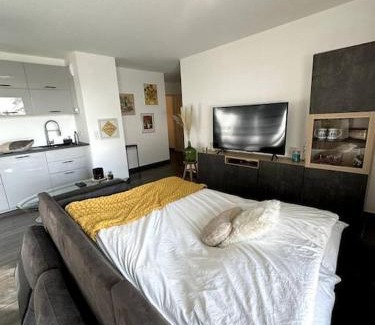 Bischheim Apartment | Superbe appartement proche de Strasbourg