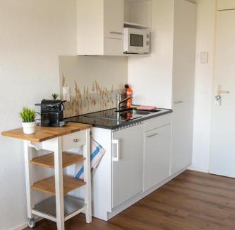 Darligen Apartment | Surfers Studio with Beach, near Interlaken and Grindelwald
