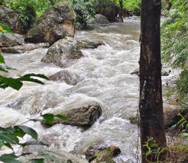 Udumbanchola Apartment | Suryas Home Stay