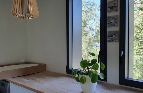 Quend House | Suspended getaway accommodation "Le Cèdre Rouge", private spa and pine forest view