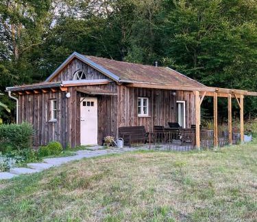 Kivik House | Sustainable Cabin In Beech Forest At Mellby Käsk