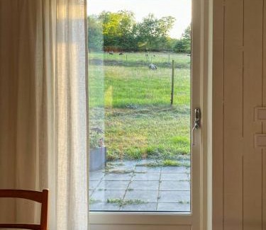 Kivik House | Sustainable Cabin In Beech Forest At Mellby Käsk