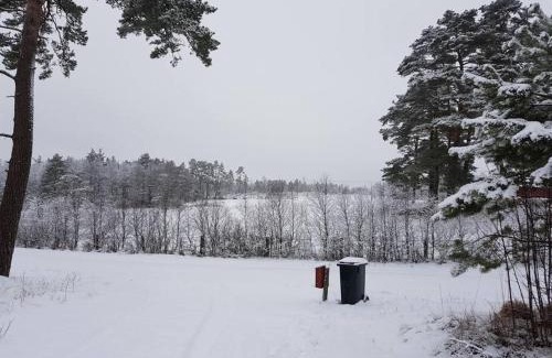 Lidhult House | Svensk skovhytte