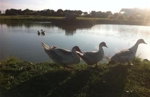 Wyke Regis Bed & Breakfast | Swallows Rest