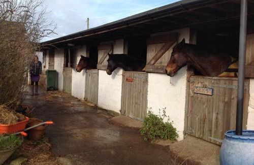 Wyke Regis Bed & Breakfast | Swallows Rest