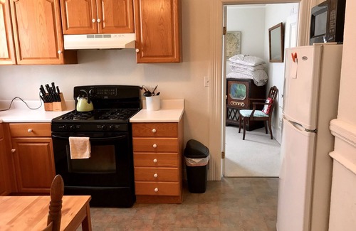 Lower Pacific Heights Apartment | Sweet 1 BR Garden Apartment- Lewhit Cottage