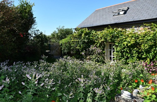 Butlerstown Cottage | Sweet Cottage on a Headland -Beside a Beautiful Beach on the Wild Atlantic Way